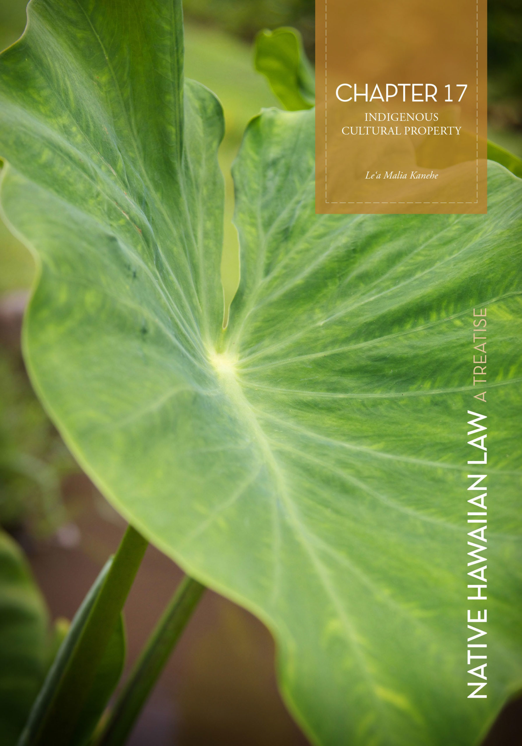 Covers_Final-revised-17